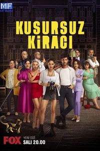 Идеальный арендатор 5 серия