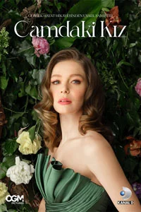 Девушка за стеклом 163 серия